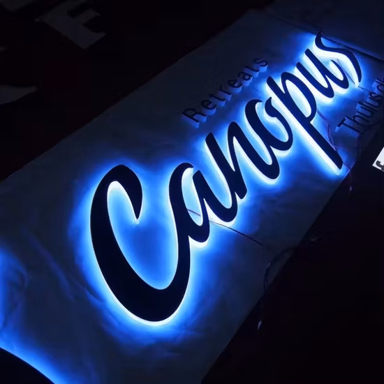 Custom Logo 3D Lighting LED Signs Non-Illuminated Sign