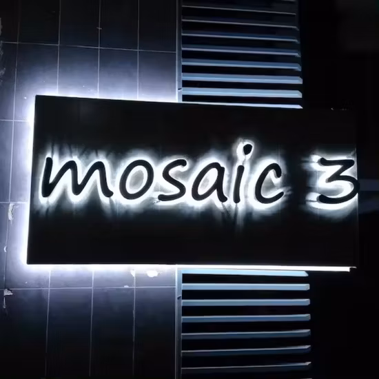 Custom Logo 3D Lighting LED Signs Non-Illuminated Sign